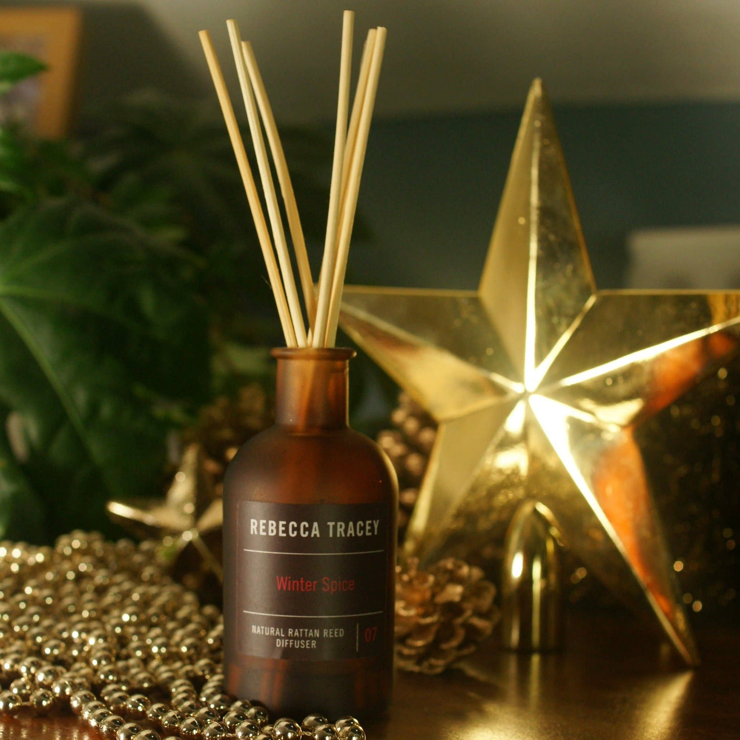 Rebecca Tracey Winter Spice Diffuser